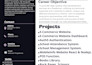 be your custom website developer, javascript, py, next, nodejs, nestjs, django